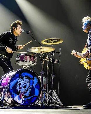 Stray Cats Clearwater